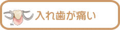 千葉市・四街道市の歯医者さん、入れ歯が痛い
