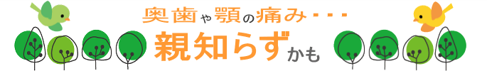 千葉市・四街道市の歯医者さん、親知らず